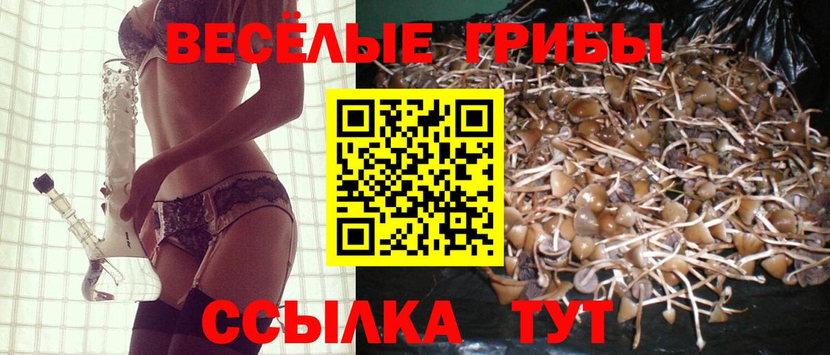 Галлюциногенные грибы мухоморы Нефтекамск